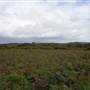 Broughton Island