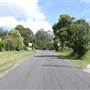 Burrawang - Southern Highlands