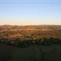 Byron Hinterland-Hot Air Balloon