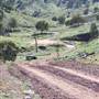 Cabonne County