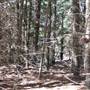 Canobolas State Forest / Recreation Area