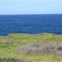 Cape Banks