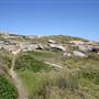 Cape Banks