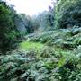 Canyon Park