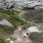 Cape Solander