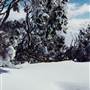 Charlotte Pass