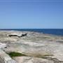 Clovelly Bay