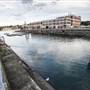 Cockatoo Island