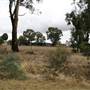 Collingullie