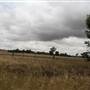 Collingullie