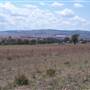 Coolah surrounds