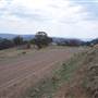 Coolah Tops National Park