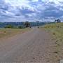 Coolah Tops National Park