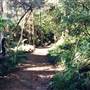 Cooper Park