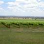 Craigmoor Winery
