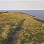 Crescent Head