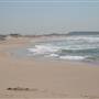 Cronulla Beach