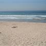 Cronulla Beach