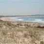 Cronulla Beach