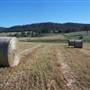 Crops/Farms - Central West