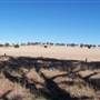 Crops/Farms - Central West