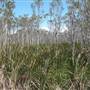 Crowdy Bay National Park