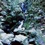 Crystal Shower Falls - Dorrigo National Park