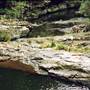 Crystal Shower Falls - Dorrigo National Park