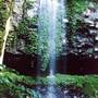 Crystal Shower Falls - Dorrigo National Park
