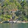 Elvina Bay