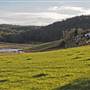 Eurobodalla Area