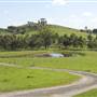 Calmsley Hill City Farm