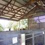 Calmsley Hill City Farm