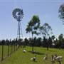 Calmsley Hill City Farm