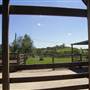 Calmsley Hill City Farm
