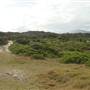 Point Stephens/Fingal Island / Fingal Point /Tomaree National Park
