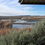 Fivebough Swamp