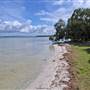 Forster and surrounds
