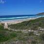 Forster and surrounds