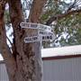 Gilgandra Town