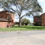Hamilton South - Newcastle