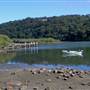 Horsfield Bay