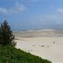 Killick Beach & Sand Dunes - Hat Head National Park