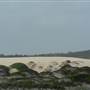 Killick Beach & Sand Dunes - Hat Head National Park