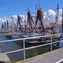 Iluka