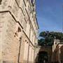 ICMS - International College of Management, Sydney