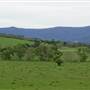 Jamberoo - Swamp & Jamberoo Roads