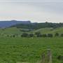 Jamberoo - Swamp & Jamberoo Roads