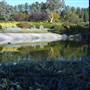 Japanese Gardens Cowra