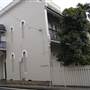 Jersey Road - Woollahra